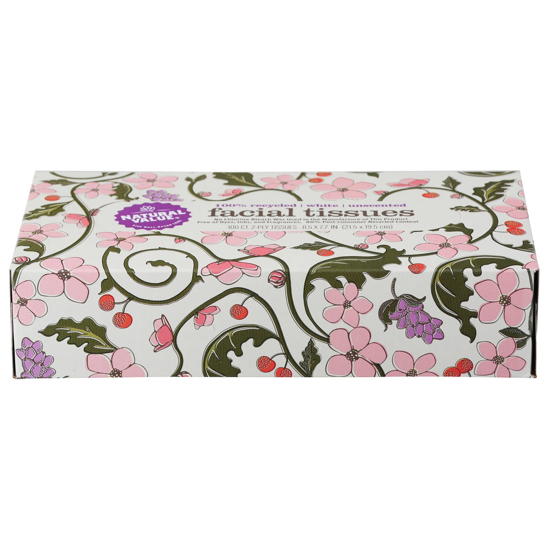 Natural Value - Facial Tissue 2ply - Case Of 30 - 100 Ct - Maras Green